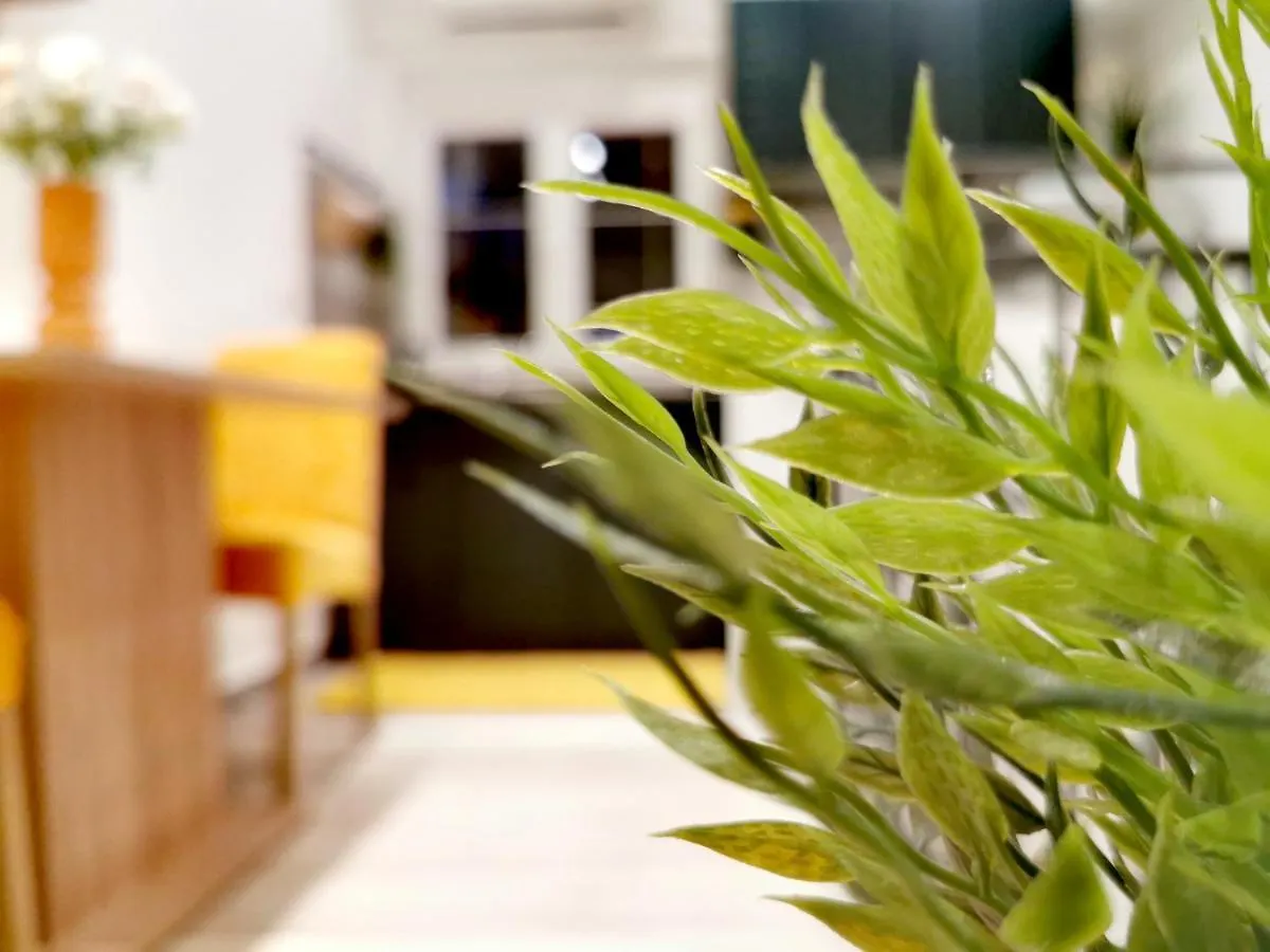 Apartments Lino Selce
